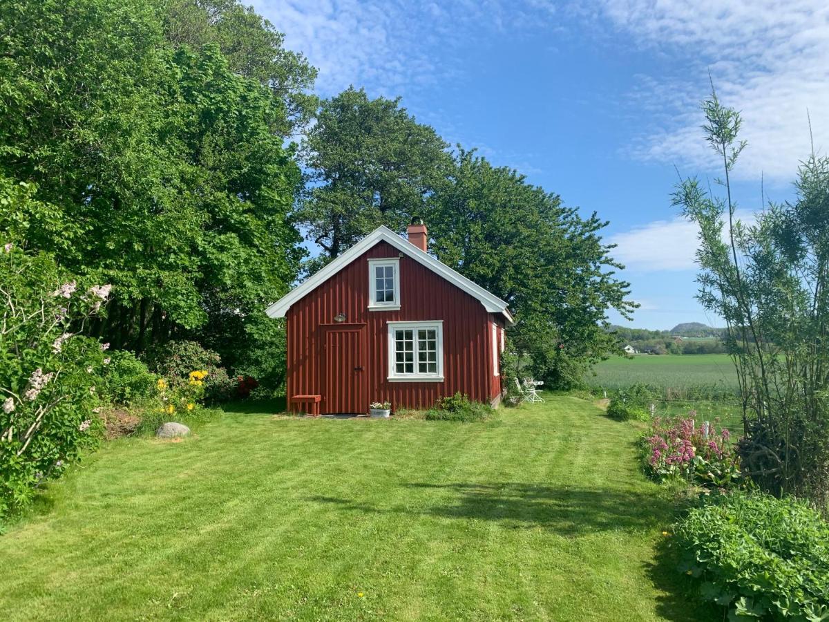Morellgarden Hébergement de vacances Larvik
