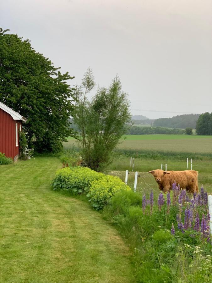 Morellgarden *
