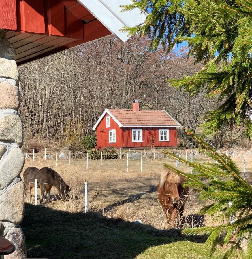 Vakantiehuis Morellgarden *