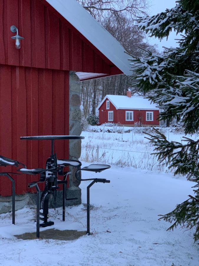 Morellgarden Larvik