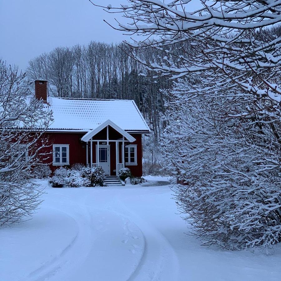 Morellgarden Larvik