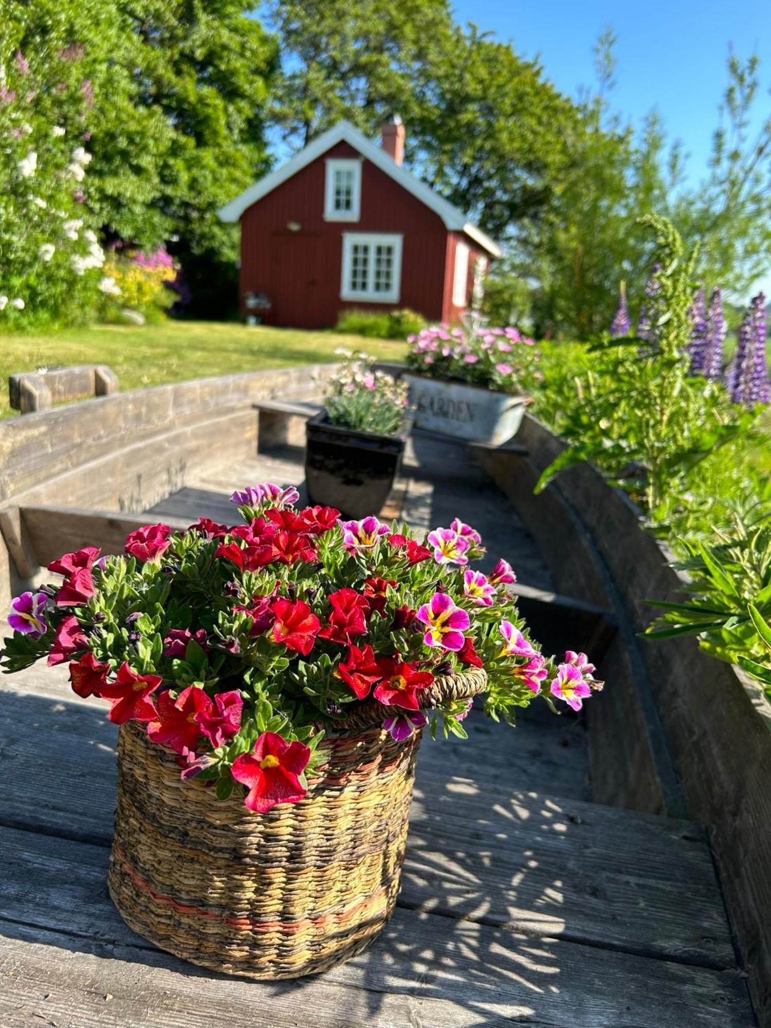 Morellgarden Hébergement de vacances Larvik